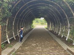 -同里国家湿地公园