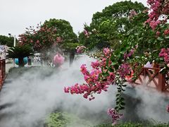 -荷塘月色湿地公园·向阳花洲