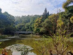 -深圳国际园林花卉博览园