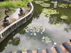 -碧江金楼