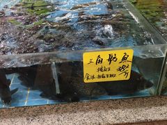 -花好悦园(瀛洲店)