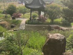 -龙寺生态园