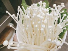 金针菇-大龙火锅(龙潭寺旗舰店)