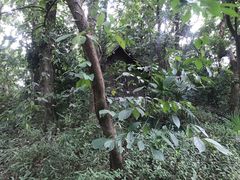 -杭州海华满陇度假酒店