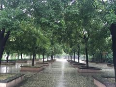 -西安汉城湖景区