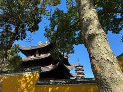 -阿育王寺