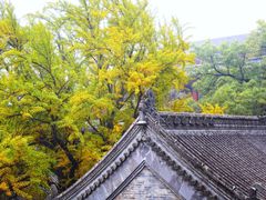 -八大处公园