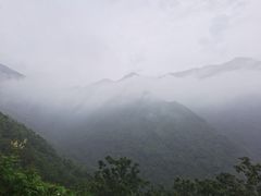 -东天目山风景区