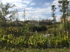 -上海长兴岛郊野公园