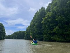 -上海海湾国家森林公园