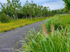 -永定河休闲森林公园