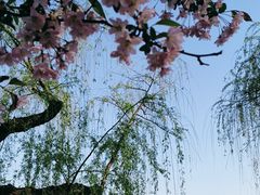 -莫愁湖公园