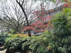 -黄龙溪古镇
