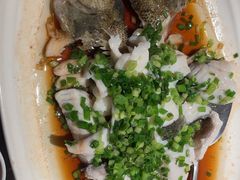 -鱼你相聚·河鲜馆(袁家岭店)