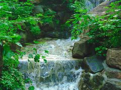 -北京西山国家森林公园