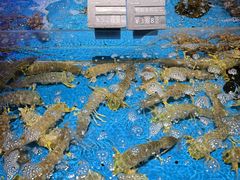 -徐记海鲜(大雁塔|金都店)