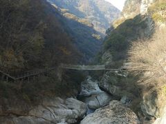 -陕西省红河谷森林公园