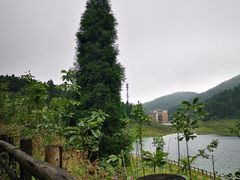 -武陵山森林公园