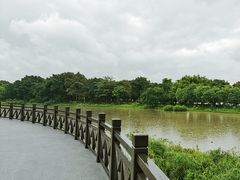 -海珠湖公园