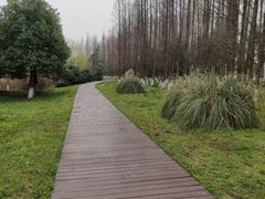 -南湖湿地公园