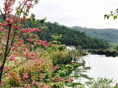 -王家小院