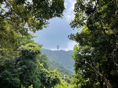 -梧桐山风景名胜区