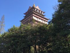 -华西村