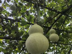 -中国天府农业博览园