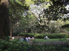 -杭州植物园