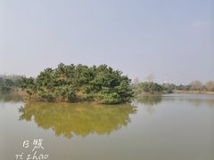 -日照海滨国家森林公园