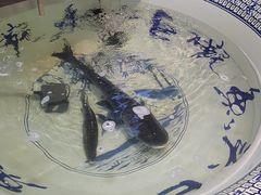-南京金牛湖巨碗鱼头