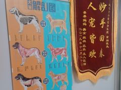 -丹景宠物医院·全科·老年病·牙科(武昌诊疗中心)