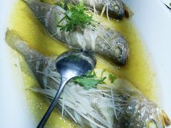 尚汤黄花鱼-餐与自然(老商埠店)