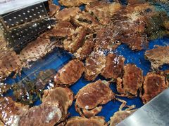 -盒马鲜生(红莲店)