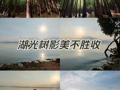 -捞渔河湿地公园