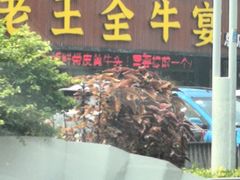 -老王全牛宴·鲜牛肉牛杂火锅(总店)