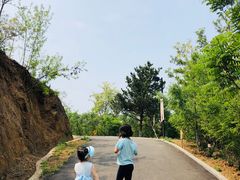 -欢乐松鼠谷