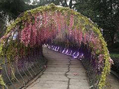 -石燕湖生态旅游景区