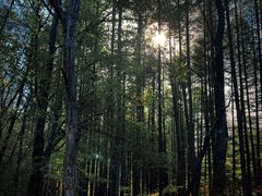 -关门山森林公园
