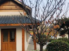 -郑州银基黄帝宫御温泉