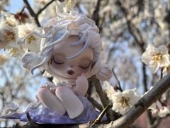 -香雪海