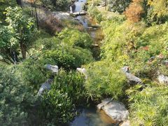 -云溪植物园