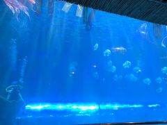 -华夏文旅西安度假区