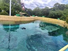 -上海玛雅海滩水公园