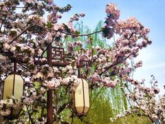 -元大都城垣遗址公园