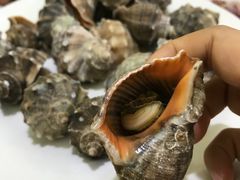 -北戴河庆山饭店·海鲜砂锅粥(北戴河黑石路店)