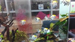 QQ图片20141212110324-小左美发