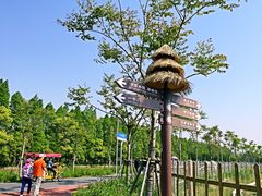 -上海长兴岛郊野公园