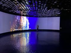 -同济大学四平路校区深海探索馆
