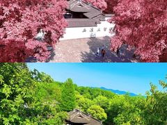 -西溪国家湿地公园